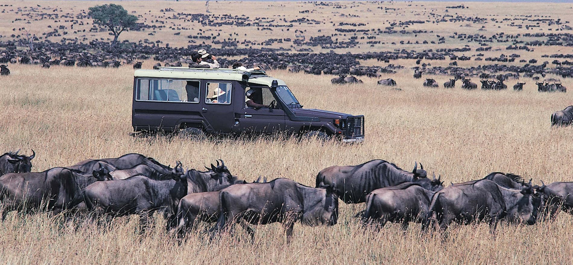 5 Days 4 Nights Lake Naivasha & Maasai Mara Join-In Safari