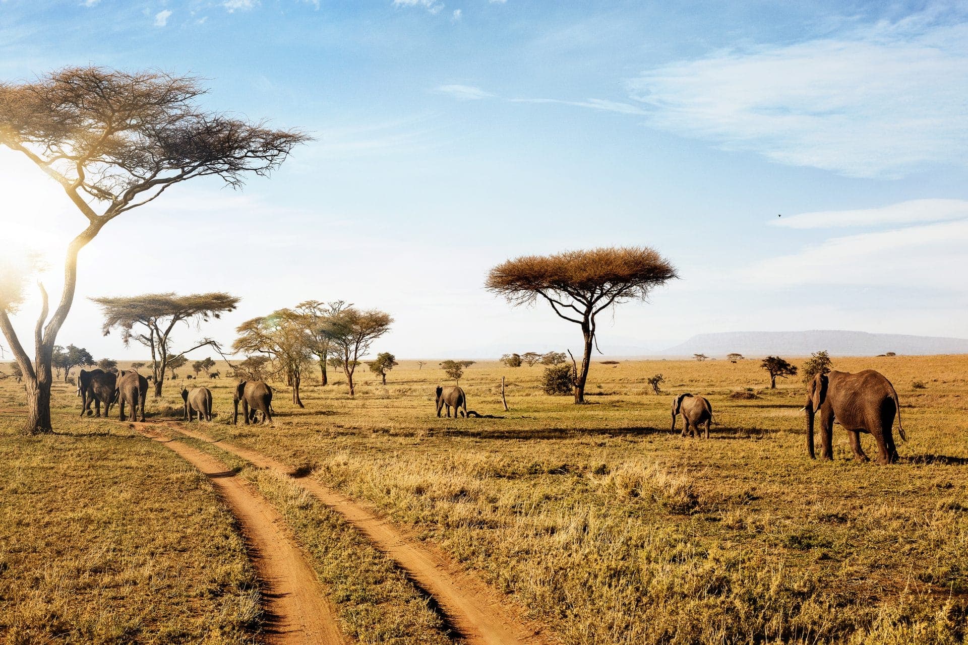 4 Days, 3 Nights Kenya Safari Itinerary Naivasha & Maasai Mara Adventure
