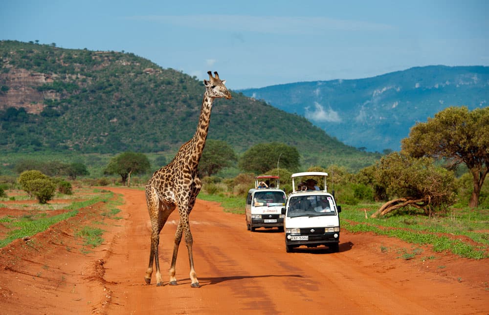 3 Days 2 Nights Tsavo East and West Package