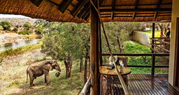 Nyati Safari Camp