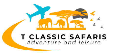 Tclassic logo